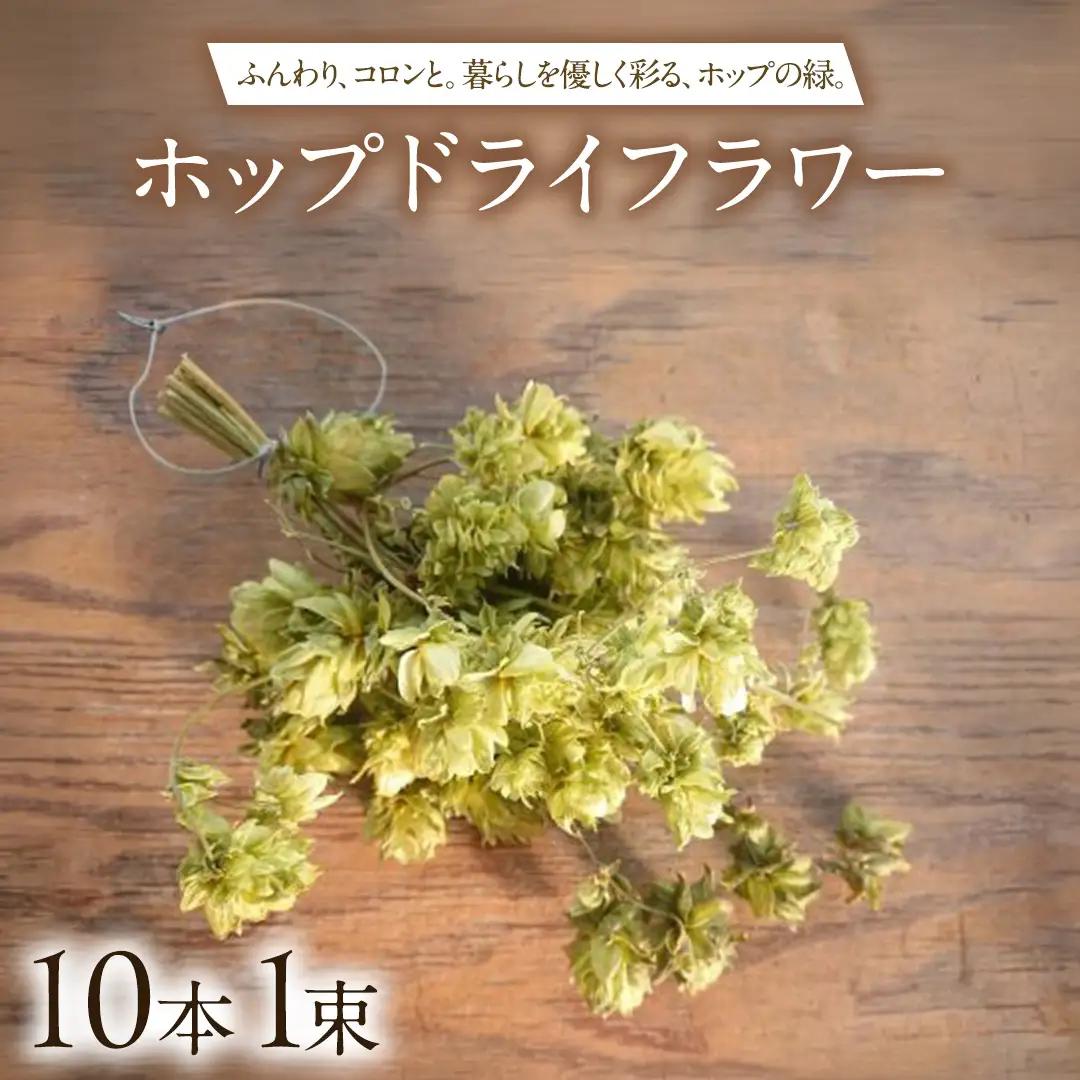 ホップドライフラワー 10本 1束 【2026年9月上旬以降発送】(CG001)