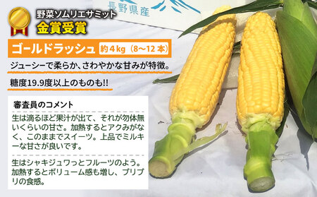 【訳あり】東御市産とうもろこし（ゴールドラッシュ）約４kg（８〜１２本） ※2024年7月中旬頃〜9月中旬頃に順次発送予定※着日指定不可