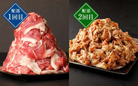 みなまたを満喫！お肉6ヶ月定期便 総量約6.6kg 豚肉 牛肉 鶏肉 こま切れ タレ漬け ステーキ ハンバーグ 腸 詰め合わせ 黒毛和牛 スライス 肉 セット おかず 冷凍 定期便 6回