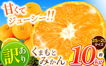 訳あり くまもと みかん 約 10kg 【 11月頃～1月頃まで 発送 】  | 果物 フルーツ 柑橘類 みかん 家庭用 熊本県 玉名市 ﾐｶﾝﾐｶﾝﾐｶﾝﾐｶﾝﾐｶﾝﾐｶﾝﾐｶﾝﾐｶﾝﾐｶﾝﾐｶﾝﾐｶﾝﾐｶﾝﾐｶﾝﾐｶﾝﾐｶﾝﾐｶﾝﾐｶﾝﾐｶﾝﾐｶﾝﾐｶﾝﾐｶﾝﾐｶﾝﾐｶﾝﾐｶﾝﾐｶﾝﾐｶﾝﾐｶﾝﾐｶﾝﾐｶﾝﾐｶﾝﾐｶﾝﾐｶﾝﾐｶﾝﾐｶﾝﾐｶﾝﾐｶﾝﾐｶﾝﾐｶﾝﾐｶﾝﾐｶﾝﾐｶﾝﾐｶﾝﾐｶﾝﾐｶﾝﾐｶﾝﾐｶﾝﾐｶﾝﾐｶﾝﾐｶﾝﾐｶﾝﾐｶﾝﾐｶﾝﾐｶﾝﾐｶﾝﾐｶﾝﾐｶﾝﾐｶﾝﾐｶﾝﾐｶﾝﾐｶﾝﾐｶﾝﾐｶﾝﾐ