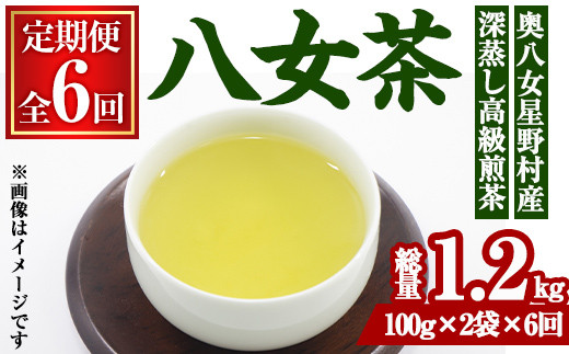 
＜定期便・全6回(連続)＞奥八女星野村 深蒸し高級煎茶(総量1.2kg・100g×2袋×6回) 八女茶 緑茶 せん茶 おちゃ お茶 やめ 深蒸し茶 常温 常温保存【ksg1347】【おどろきっちん】
