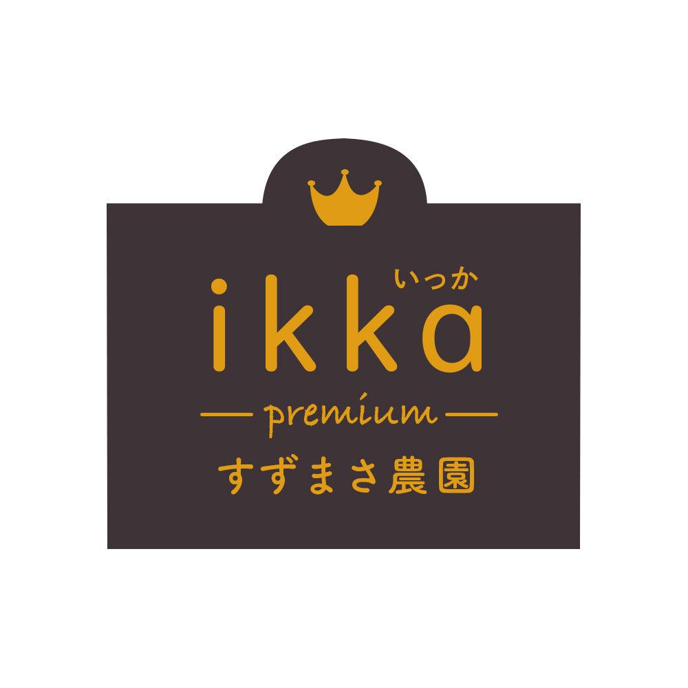 特別なかぼちゃ ikkaプレミアム【8月-9月発送】｜新潟　新潟県　カボチャ　かぼちゃ　南瓜
