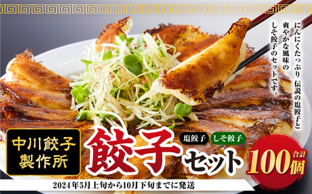 【中川餃子製作所の餃子セット】 塩餃子（50個）・しそ餃子（50個） 計100個 【2024年5月上旬から10月下旬までに発送】 惣菜 餃子 セット 肉 簡単調理 おかず おつまみ 国産 冷凍 