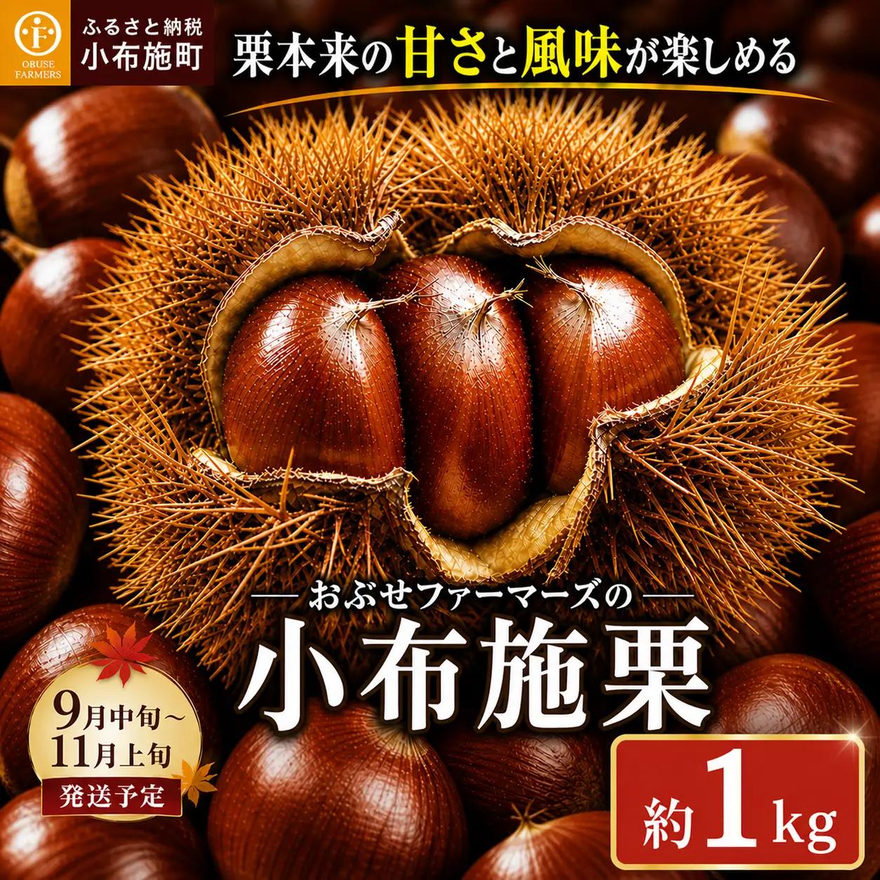 先行受付 無くん蒸小布施栗 約1kg ［おぶせファーマーズ］ 令和8年産 【2026年9月中旬～11月上旬発送】 ［F-33］