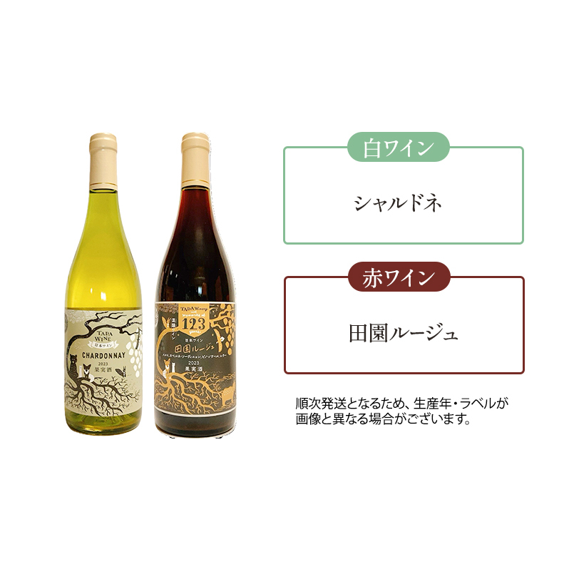 【野生酵母】かみふらの 多田ワイナリー 赤白泡オレンジワイン 計4本　ワイン 赤ワイン 白ワイン 微発泡ワイン オレンジワイン 飲み比べ セット ぶどう 葡萄 ワイナリー 酒 北海道 上富良野町_イメ
