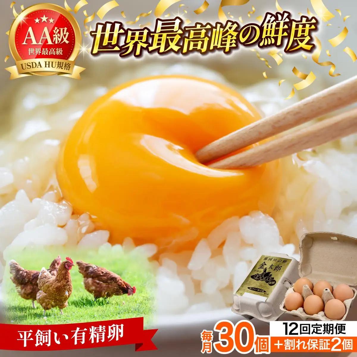 寄附額改定↓ ＜定期便・全12回＞鮮度AA級の世界最高ランク！金太郎卵 平飼い たまご 30個（6個×5パック）