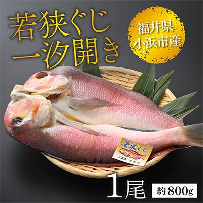 ふるさと納税 小浜市 【2025年2月中旬発送】【加福鮮魚】若狭ぐじ　一汐開き | 