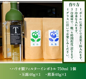 水出し宇治茶（玉露・煎茶）とハリオ（HARIO）フィルターインボトルのセット AG02