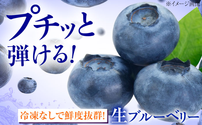 ブルーベリー 生ブルーベリー110ｇ×10パック【7月上旬から8月下旬まで順次発送】 / 冷蔵 フルーツ 果物 ブルーベリー 生 ジャム スムージー ドリンク / 愛媛県砥部町/西岡さん家のみかん園 
