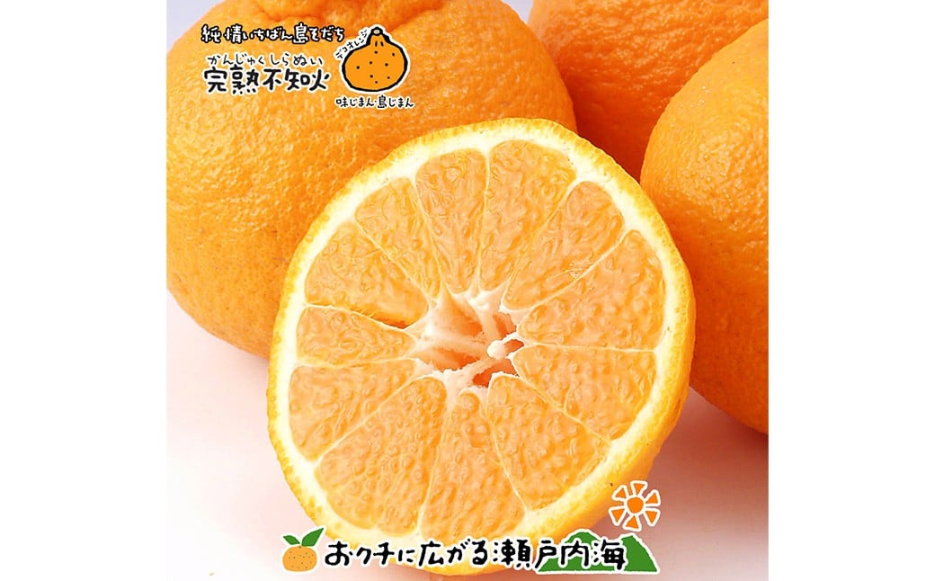 
            【希望の島】 完熟不知火 特選品 大玉 2kg 愛媛県 松山市 中島産 不知火 しらぬい 柑橘 贈答用 果物 くだもの フルーツ デザート 国産 常温 【2026年4月上旬～5月下旬迄順次発送予定】（1020）
          