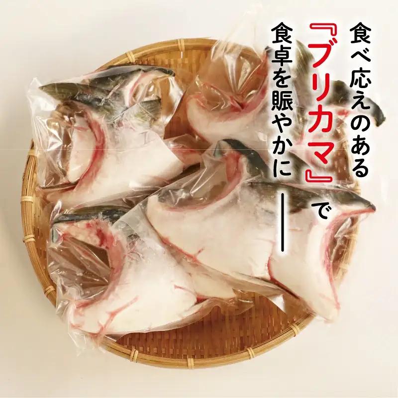 【鰤】 鰤 カマ 2切れ × 4