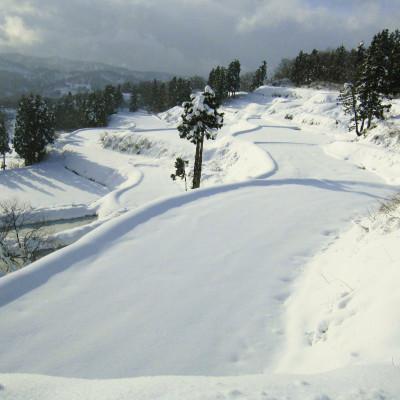 ふるさと納税 上越市 【数量限定】令和7年/新潟上越産「標高480mの山間地で育てた棚田米コシヒカリ」精米6kg |  | 02