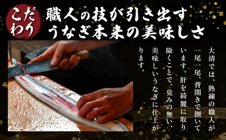 職人手焼き うなぎ蒲焼 2尾 計260g以上 鰻 ウナギ うなぎ 魚 魚介 国産 おかず 食品 加工品 冷蔵 惣菜 蒲焼き 送料無料_CD40-23