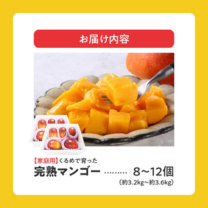 【家庭用】くるめで育った完熟マンゴー（8～12個：約3.2㎏～約3.6kg）_Fm009