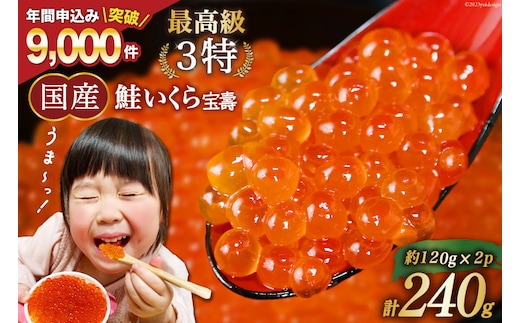 
										
										【TVで紹介】最高級3特 国産 味付 いくら 宝壽 醤油漬 120g×2 [かわむら家 宮城県 気仙沼市 20564366] イクラ 海鮮 魚介類 醤油 ふるさと納税 ふるさとのうぜい ふるさと
									