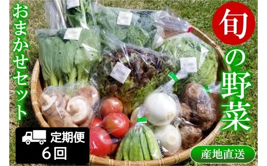 
            『定期便』全6回 野菜 おまかせセット 毎月届く定期便 旬 道の駅直送 季節野菜 豊平どんぐり村 さんさん市_SA073_001s6
          