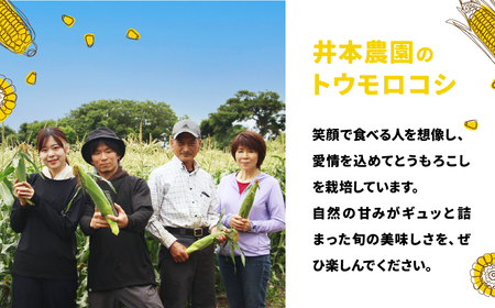 【先行予約】井本農園の朝採れとうもろこし 12本 とうもろこし