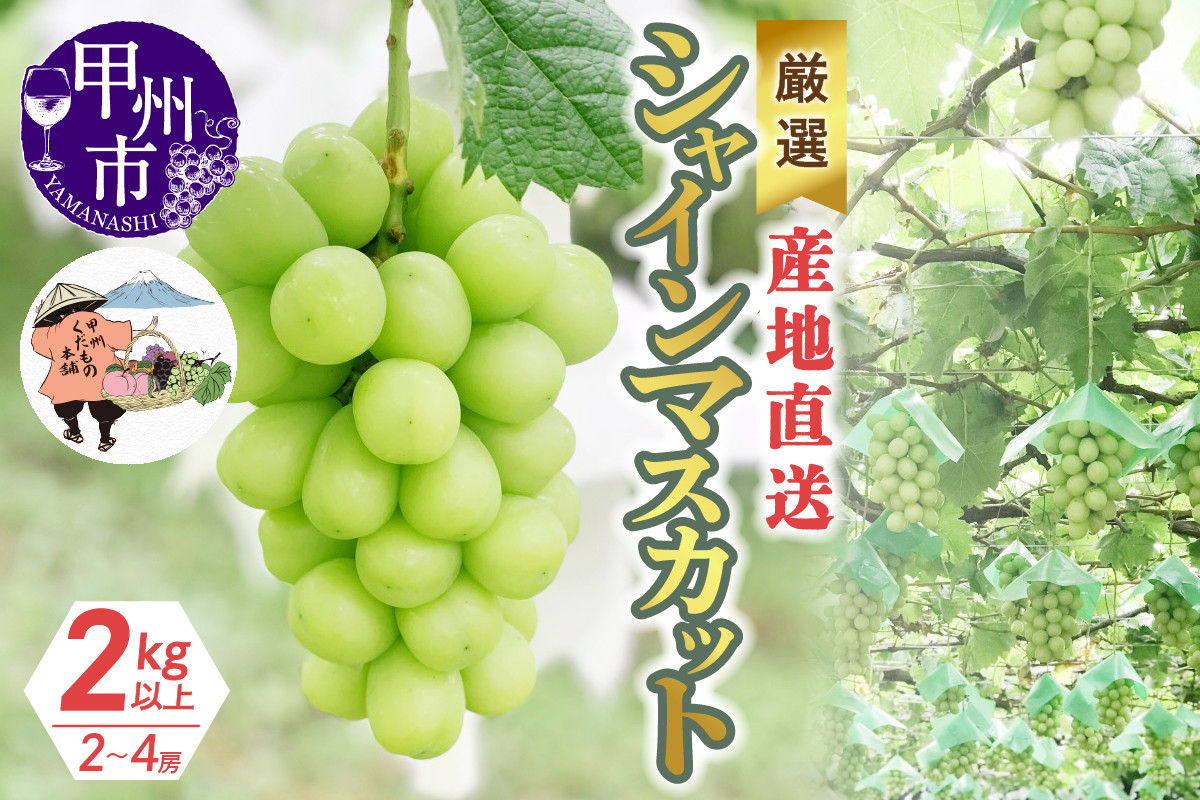
            厳選！産地直送ぶどう「シャインマスカット」2kg以上（2～4房）【2025年発送】（KKH）B18-430 【シャインマスカット 葡萄 ぶどう ブドウ 令和7年発送 期間限定 山梨県産 甲州市 フルーツ 果物】
          