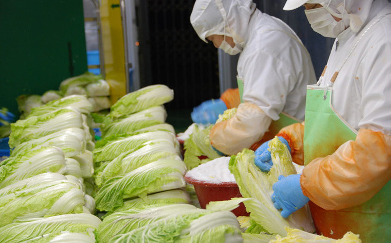 No.010 東上野キムチ横丁で大人気！白菜キムチ＆チャンジャセット