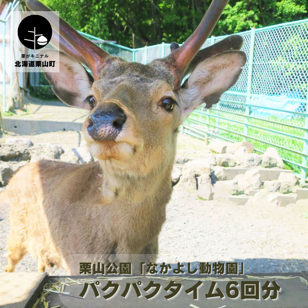 【ふるさと納税】栗山公園「なかよし動物園」パクパクタイム回数券 6回分 《2枚セット・3枚セット・御大師山トリプルかき氷付き》