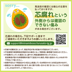 【2026年5月中旬～6月下旬発送予定】房州びわ Ｌ･2Ｌサイズ混合袋びわ（袋入） mi0114-0002