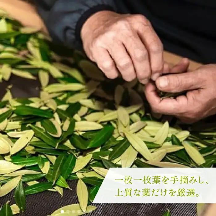 【全12回定期便】オリーブリーフパウダー [JDU011] 定期便 オリーブリーフ オリーブ 健康 ポリフェノール 144000 144000円