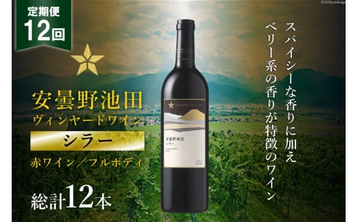 12回 定期便 赤ワイン サッポロ グランポレール 安曇野池田ヴィンヤード「シラー」750ml 総計12本 [池田町ハーブセンター 長野県 池田町 48110611] 赤 ワイン フルボディ 濃厚 凝縮 お酒 酒