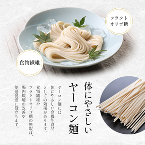 【 小豆島 】小豆島手延べヤーコン麺 160g×3袋 手延べ そうめん 素麺 小豆島 土庄町 麺 ヤーコン ヤーコンめん