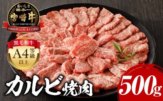 【2025年10月発送】宮崎牛 カルビ焼肉 500g_M243-004-oct