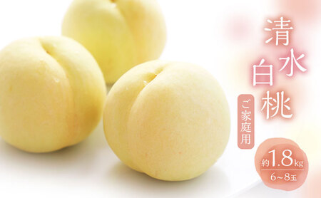 桃 2026年 数量限定 白桃清水 白桃 約1.8kg 6～8玉 ご家庭用 桃