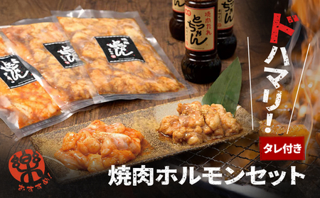 ホルモンセット焼肉牛肉鶏肉タレ付きホルモンセット