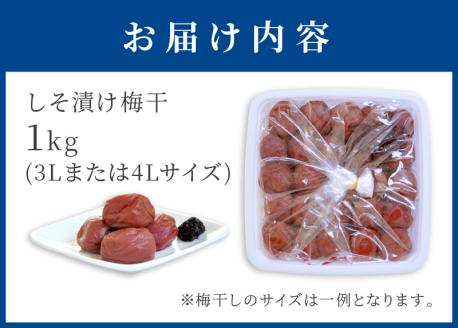 しそ漬け梅干(紀州南高梅)1kg 特選A級 大粒 3L以上 和歌山県産