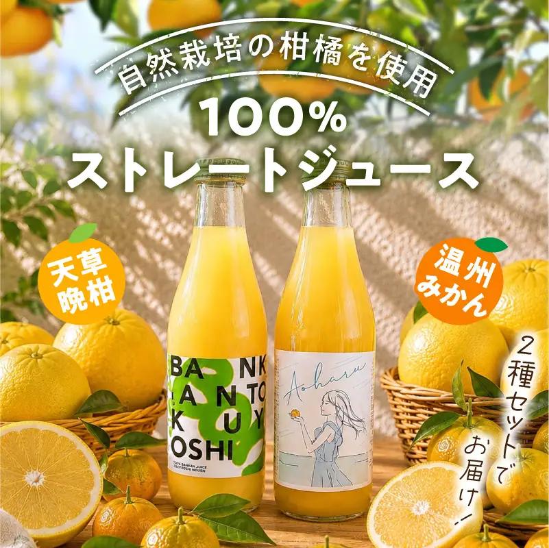 S178-001_ストレートジュース温州みかん・天草晩柑飲み比べセット