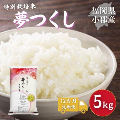 ふるさと納税 小郡市 定期便 12回 特別栽培米 福岡県 小郡産 夢つくし 5kg 米[No5354-2298]