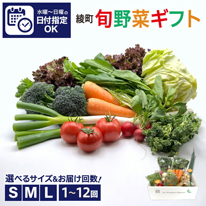 【ふるさと納税】〈選べる！サイズ＆お届け回数〉綾町旬野菜ギフト 詰め合わせ 野菜セット 8種 10種 13種 1回 3回 6回 12回 定期便 有機 おまかせ お試し 新鮮 美味しい 送料無料【オーガニックのまち 宮崎県綾町】