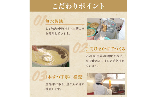 濃縮 生姜 シロップ パウチ 6パック セット 360ml 万能 調味料 生姜 自由自在 あわせしょうが ドレッシング 飲料 調理 ジュース KP009-2x