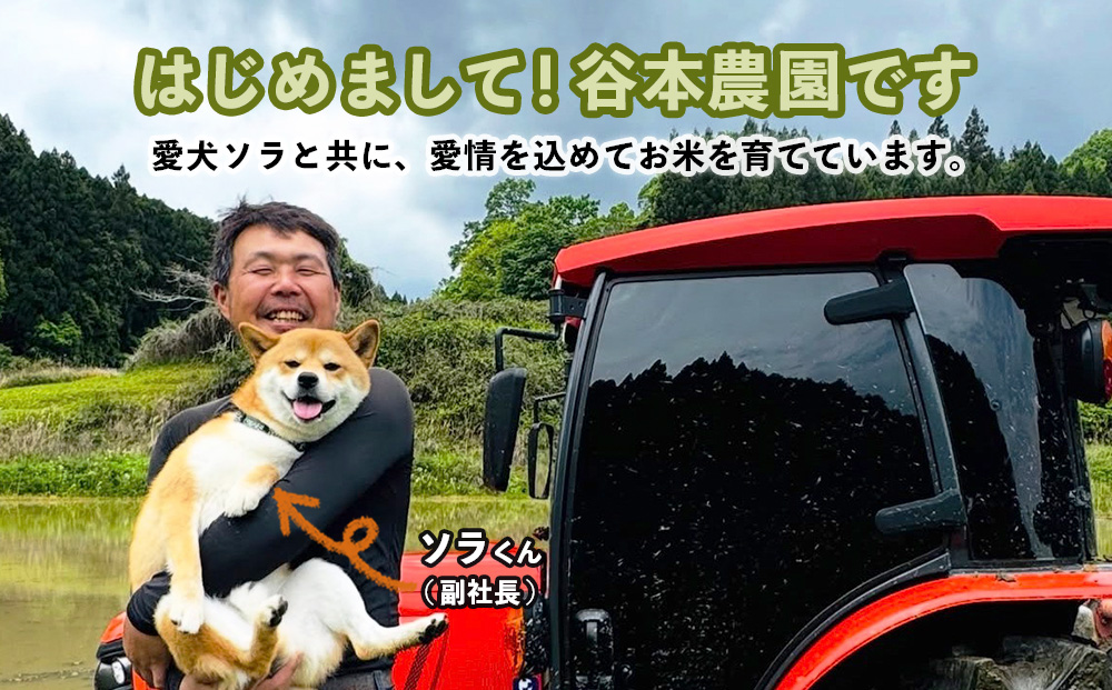 宇陀の自然が育てた 天空【sora】極 ひとめぼれ 5kg｜特別栽培米・奈良県宇陀産 白米