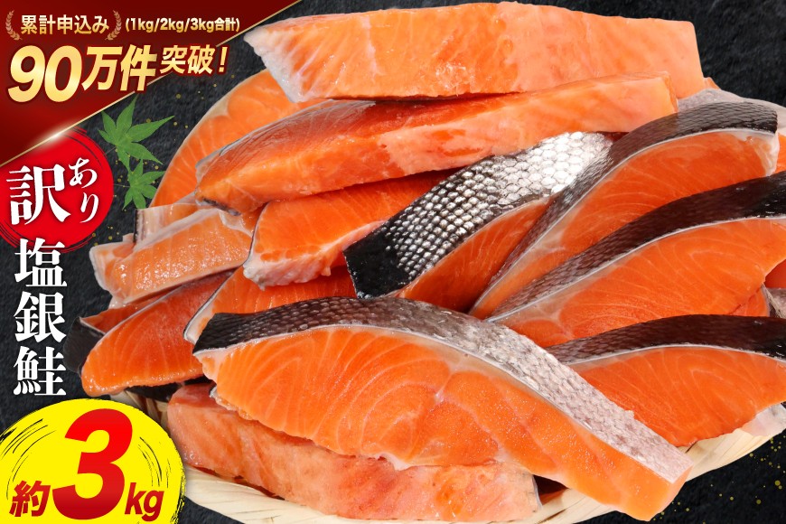 
            訳あり 銀鮭 切身 約3kg [宮城東洋 宮城県 気仙沼市 20564992] 鮭 魚介類 海鮮 訳アリ 規格外 不揃い さけ サケ 鮭切身 シャケ 切り身 冷凍 家庭用 おかず 弁当 支援 サーモン 銀鮭切り身 魚 わけあり
          