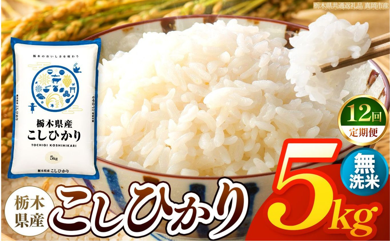 【令和8年産 新米】 【定期便12回】栃木県産 お米 こしひかり　（無洗米） 5kg 【2026年秋以降発送】 |  栃木県 矢板市 【栃木県共通返礼品 真岡市産】
