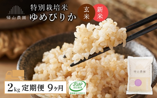 【新米予約】【9カ月定期便】特別栽培米産地直送「玄米ゆめぴりか 2kg」《帰山農園》