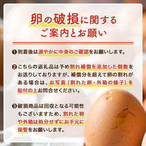 A0-07 いちき農園のこだわり卵(計30個・10個入り×3パック) 平飼い 鶏 たまご 低コレステロール 抗生物質不使用 卵かけご飯 TKG【いちき農園】