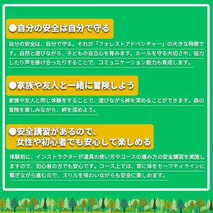 フォレストアドベンチャー・つくば＜キャノピーコース＞4名様体験チケット【1412105】