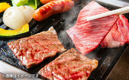 佐賀牛イチボ焼き肉用500g / 佐賀牛 牛肉 赤身 ステーキ / 佐賀県 / やま田商店[41AAAR006]