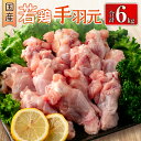 【ふるさと納税】国産若鶏手羽元 合計6kg 鶏肉 九州産