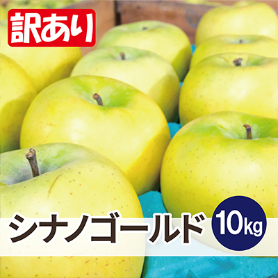 
            ＜26年6月出荷予定＞平均糖度13度以上! シナノゴールド 約10kg 訳あり CA貯蔵 クール便【1612901】
          