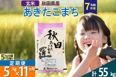 【玄米】＜令和7年産＞ 《定期便11ヶ月》秋田県産 あきたこまち 5kg (5kg×1袋)×11回 5キロ お米  匠