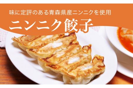 「宇都宮餃子館」ニンニク餃子 960ｇ（４８個）≪冷凍餃子 冷凍食品 ギョーザ グルメ 食品 惣菜 中華惣菜 点心 中華≫◇