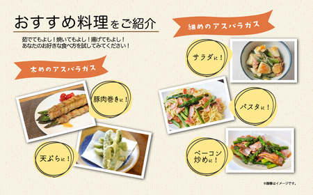 【先行予約】アスパラガス春芽　M~Lサイズ　1㎏（2025年3月下旬~5月下旬発送予定）