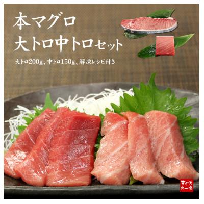 ふるさと納税 いわき市 本マグロ大トロ中トロセット　約350g　解凍レシピ付き　1サクずつ真空包装