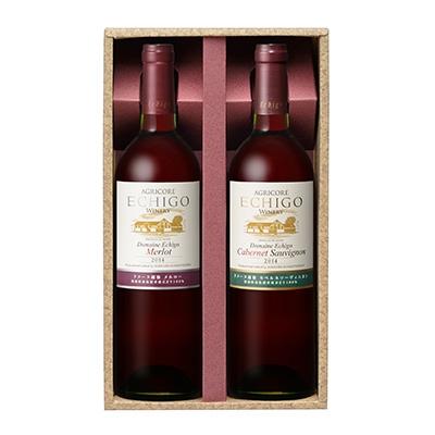 ふるさと納税 南魚沼市 ドメーヌECHIGO(750ml) 2本セット